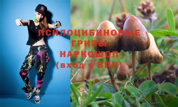 стафф Аркадак