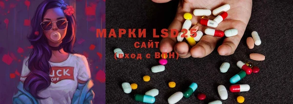 стафф Аркадак