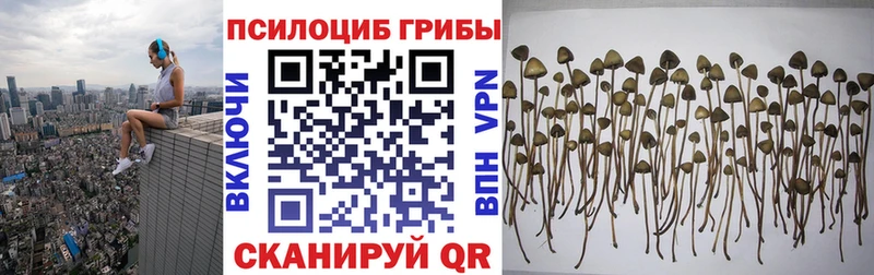 блэк спрут онион Белая Калитва Псилоцибиновые грибы Psilocybe купить наркоту