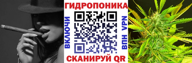 где купить наркоту  нарко площадка состав  Каннабис SATIVA & INDICA  Белая Калитва 